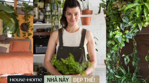 Cựu người mẫu biến căn chung cư 60m2 thành vườn cây cảnh, bên trong có hơn 500 loại thực vật khác nhau