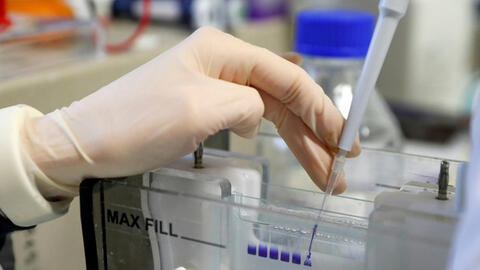 Trung Quốc nói đã tìm thấy kháng thể vô hiệu hóa Omicron