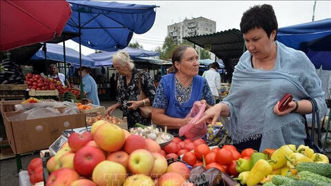 Căng thẳng Nga - phương Tây tác động đến hoạt động kinh doanh của người Việt tại Nga