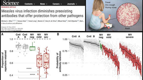 Không tiêm vắc xin, kháng thể trong máu trẻ giảm mạnh vì mắc sởi