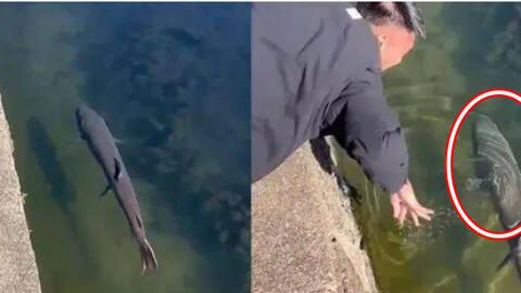 Định bắt cá lớn dưới sông thì bị cản, thanh niên nổi giận đáp trả liền bị chặn: ‘Tôi vừa cứu anh!’