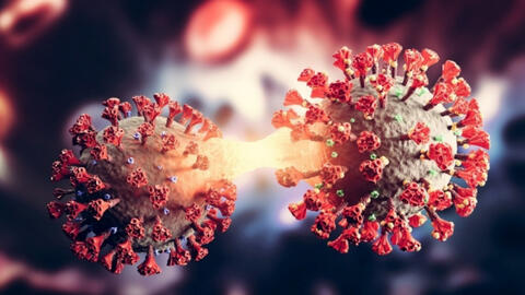 Chuyên gia cảnh báo siêu biến thể mới có thể sẽ xuất hiện nếu Omicron và Delta kết hợp