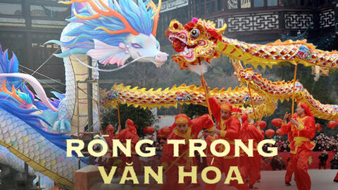 Năm Thìn và hình tượng rồng trong văn hóa truyền thống Trung Quốc: Từ thần thú được gửi gắm khát vọng đến cái hồn đi sâu vào quan niệm sống