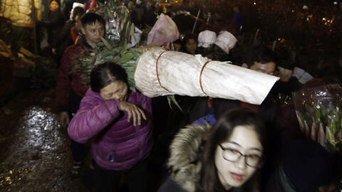 Vất vả trắng đêm ở chợ hoa Quảng An