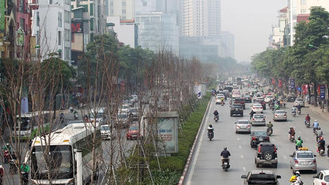 Hà Nội sẽ thay thế toàn bộ cây phong lá đỏ trên đường Nguyễn Chí Thanh và Trần Duy Hưng