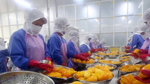 Xuất khẩu nông sản 2 tháng đầu năm 2022 tăng mạnh