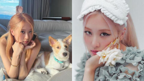 Qua một động thái, YG tự mình xác nhận Rosé là thành viên BLACKPINK duy nhất tái ký?