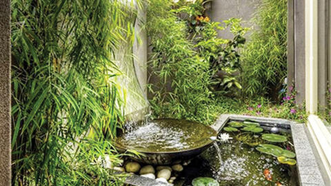 Sân sau tuyệt vời với ao nhỏ