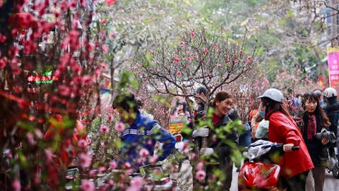 Đề xuất phương án nghỉ Tết Nhâm Dần 2022 kéo dài 9 ngày