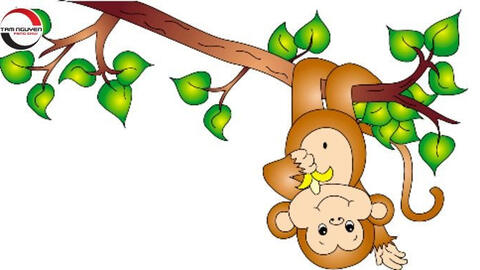 Tử vi năm 2022 tuổi Thân: Một năm đầy biến động, không thuận lợi về nhiều mặt