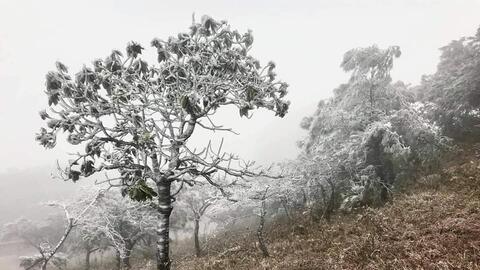 Mạng xã hội tràn ngập hình ảnh băng giá trên đỉnh Mẫu Sơn