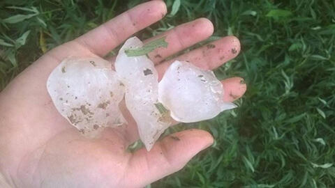 Nghệ An xuất hiện mưa đá trong sáng mồng 1 Tết