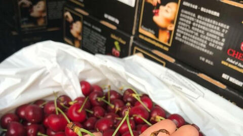 Giá thực phẩm ngày 15/7: Cherry Mỹ vào mùa, giá giảm