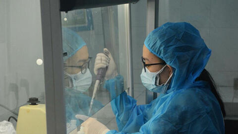 WHO: Virus corona ở Đà Nẵng tương tự SARS-CoV-2 gây bệnh COVID-19 lây lan ở các quốc gia khác vào tháng 7