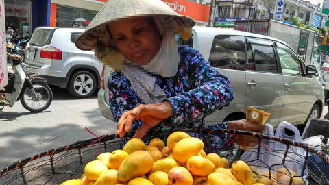 Xoài mút Trung Quốc tràn ngập thị trường