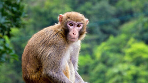 Ngày khai trương đẹp nhất năm 2022 cho tuổi Nhâm Thân 1992