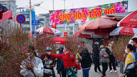 Đào quất tưng bừng xuống phố chuẩn bị đón Tết