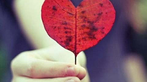 Ta có sẵn tình yêu để cho đi...