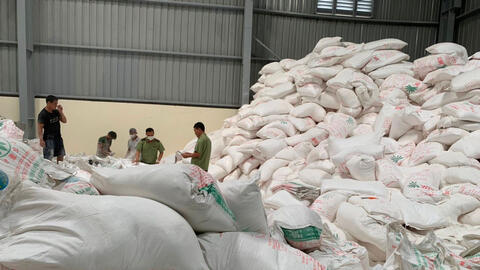 Biến hơn 52 tấn tinh bột sắn Lào thành sắn Tây Ninh