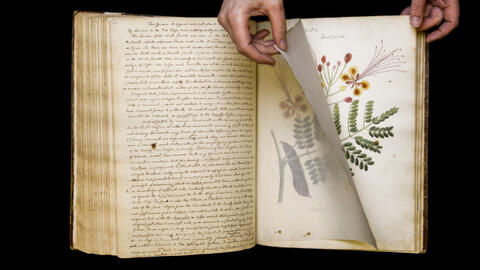 Số hoá một trong những tài liệu thực vật học cổ xưa nhất