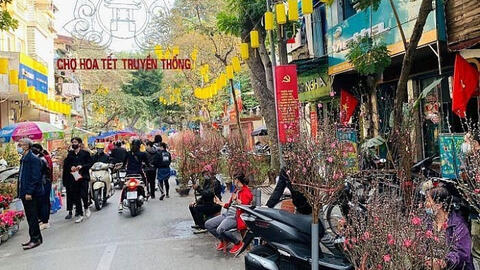 Tuyến phố nào ở Hà Nội bị cấm để mở chợ hoa Xuân Tết Quý Mão?