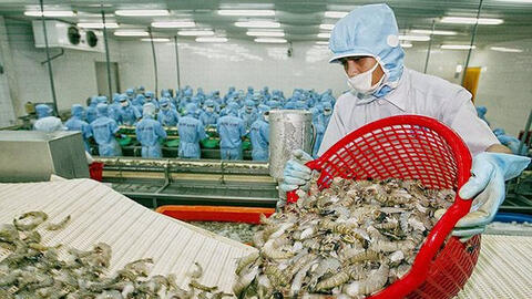 Xuất khẩu thủy sản đầu tháng 8 giảm mạnh
