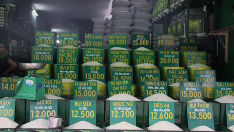 Giá xuất gạo khẩu tăng khả quan, gạo lẻ ổn định tại các chợ