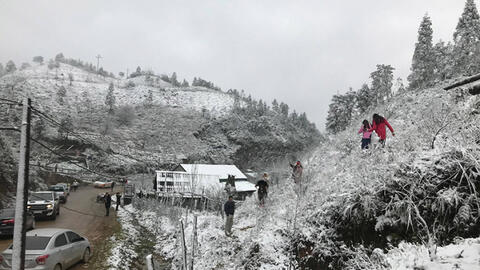 Tuyết dày đặc khiến các tỉnh miền núi Bắc Bộ thiệt hại nặng nề