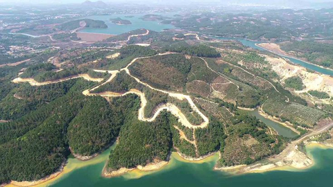 Siêu dự án tỷ đô Sài Gòn - Đại Ninh làm mất 257 ha rừng