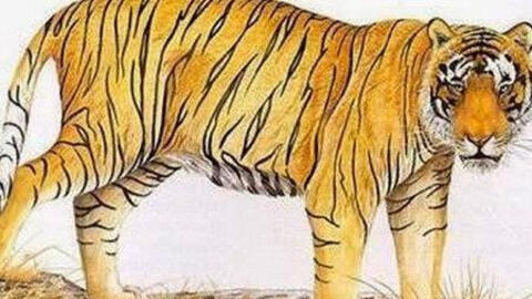 Gia chủ tuổi Bính Dần 1986, nên chọn tuổi nào xông đất tốt nhất 2021?