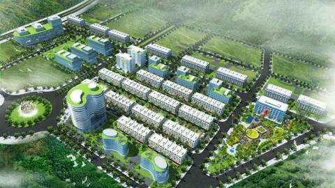 Thuduc House bán dự án nhà ở thương mại Đồi Vàng