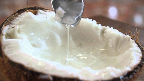 Dừa sáp lần đầu xuất đi Úc bằng máy bay bán giá 600.000 đồng/quả