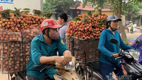 Chợ vải thiều Lục Ngạn dài 20km, chỉ một mẩu giấy nhỏ thu về 3.500 tỷ đồng