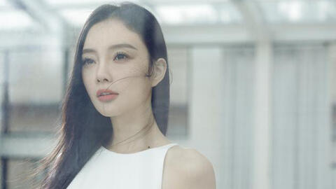 Lý Tiểu Lộ - từ ngôi sao đến kẻ mặt dày nhất làng giải trí Hoa ngữ