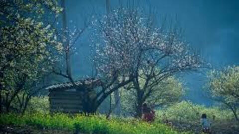 Ngọc Khuê, Khánh Linh… cùng các nghệ sĩ biểu diễn miễn phí trong chương trình kỷ niệm 10 năm thành lập huyện miền núi Vân Hồ