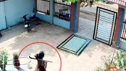 Vợ mang bầu 5 tháng vác rựa bảo vệ chồng khiến dân mạng thán phục