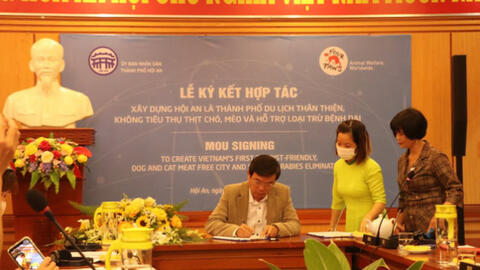 Thành phố đầu tiên của Việt Nam cam kết không tiêu thụ thịt chó, mèo