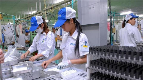 Triển vọng hợp tác giữa doanh nghiệp Việt Nam với Hong Kong (Trung Quốc)