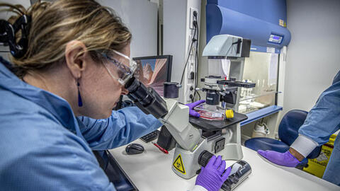 Các nhà khoa học Australia đã xác định được cơ chế hệ miễn dịch của con người chống lại virus Covid-19