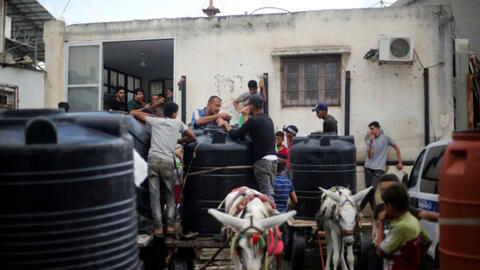 Cách người đàn ông và con lừa giúp người dân Gaza khỏi chết khát giữa vòng vây của quân đội Israel