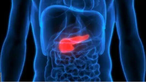 Tìm ra loại thuốc mới giúp kéo dài sự sống cho bệnh nhân ung thư tuyến tụy