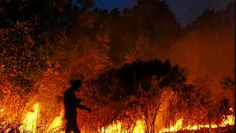 Những vụ cháy rừng lớn trên thế giới trong thời gian qua