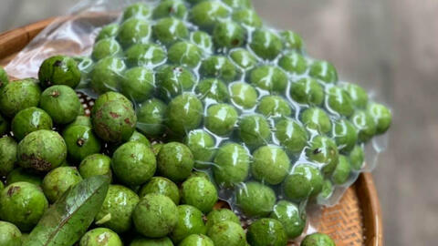 Việt Nam lần đầu tiên xuất khẩu quả sấu đông lạnh sang Australia