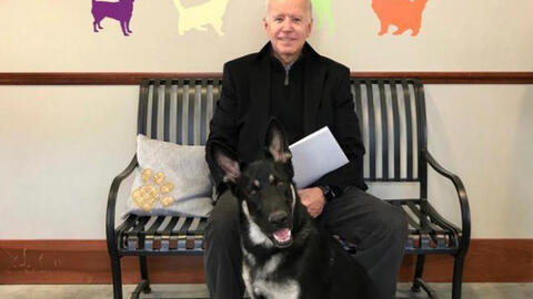 Ông Joe Biden bị trật mắt cá trong lúc chơi đùa với chú chó cưng