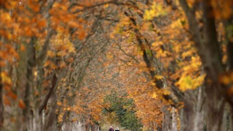 Khung cảnh mùa thu trên khắp thế giới