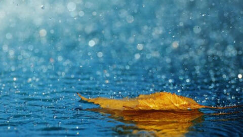 Chợ chạp sũng mưa