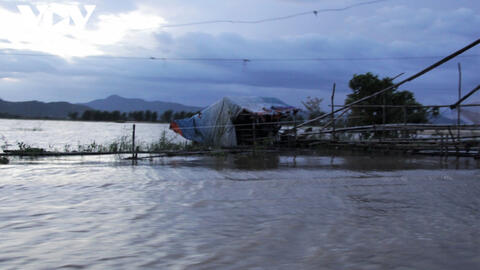 Nguy cơ hạn hán có thể đến sớm và khốc liệt hơn ở ĐBSCL