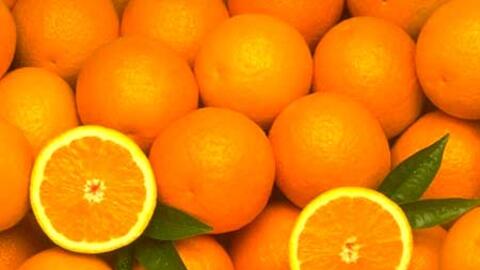 Hơn 4.000 tấn cam Australia sắp về Việt Nam