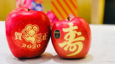 Táo in hình chuột mừng Tết Canh Tý giá gần 800.000 đồng/trái