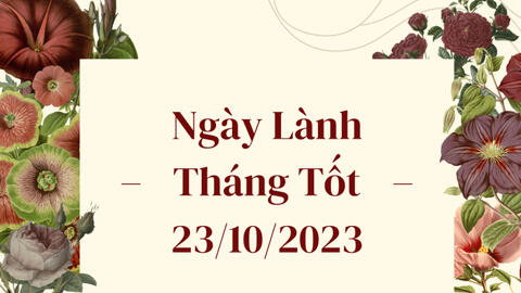 Xem ngày lành tháng tốt 23/10/2023: Cần tránh làm những việc liên quan đến giấy tờ, tố tụng trong hôm nay